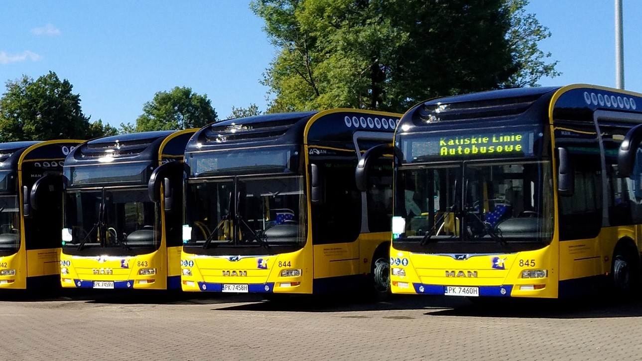 kalisz aurobusy kaliskie linie autobusowe - kla.com.pl
