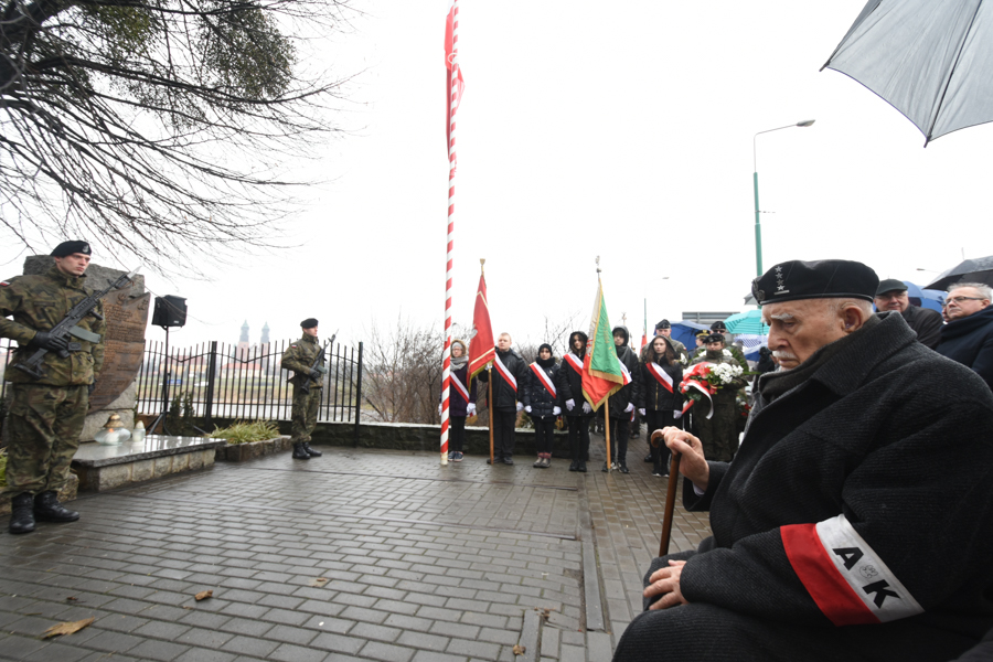 akcja bollwerk 2019 - Wojtek Wardejn