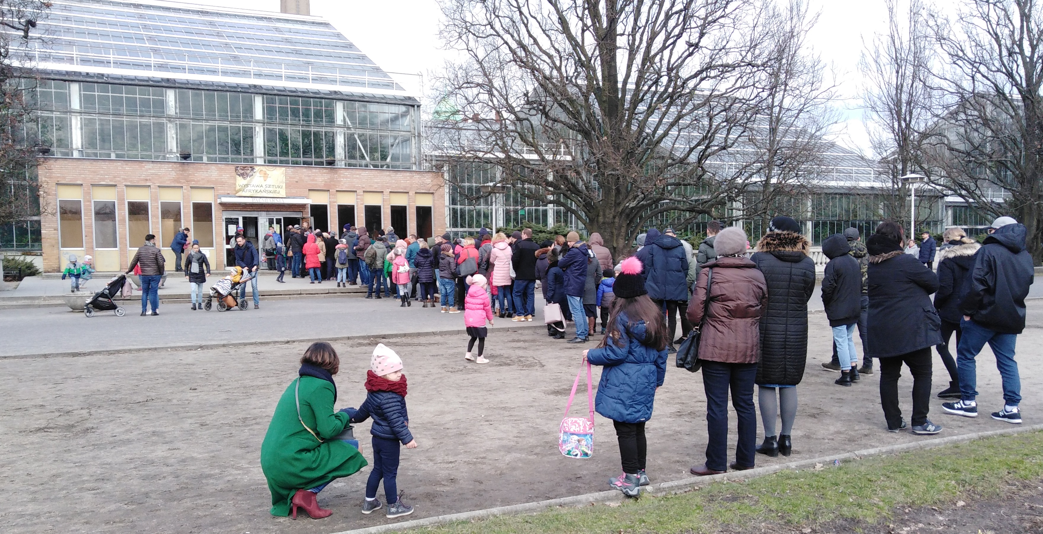 kolejka wystawa palmiarnia myszy - Wojtek Wardejn