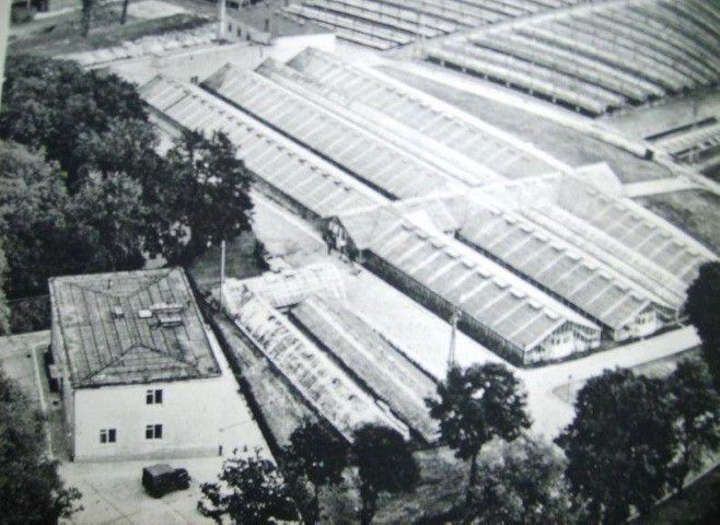 PGO_naramowice (Small) - tunaramowice.pl