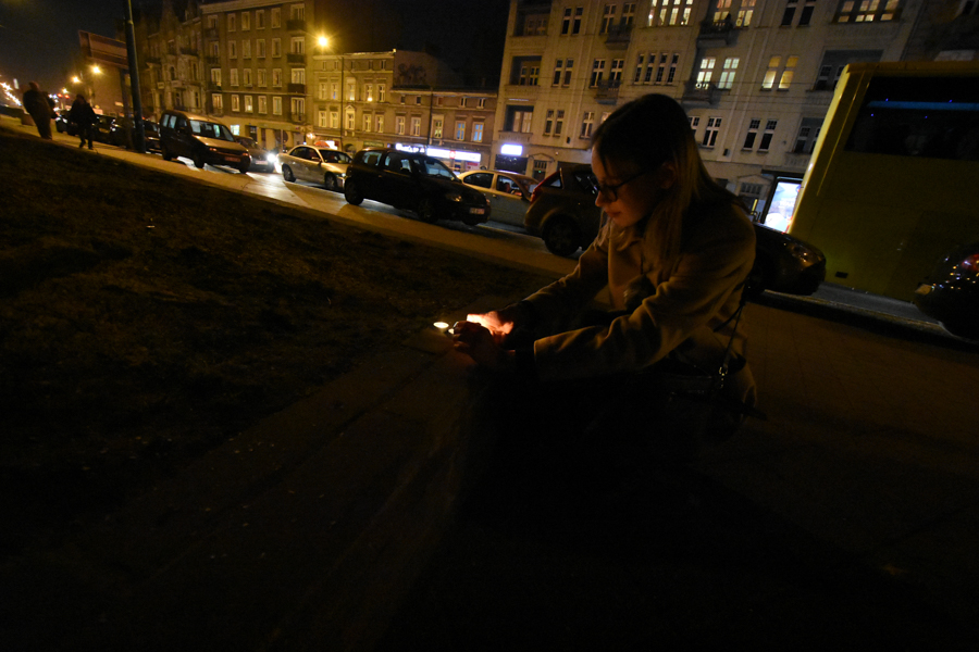 znicze drzewa park wilsona poznan wycinka - Wojtek Wardejn