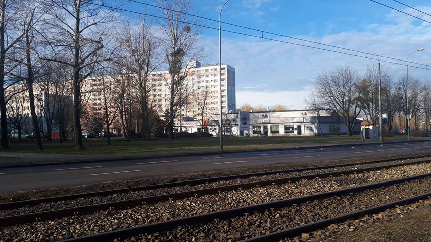 trawnik tomaszkiewicz - Wojciech Sikorski