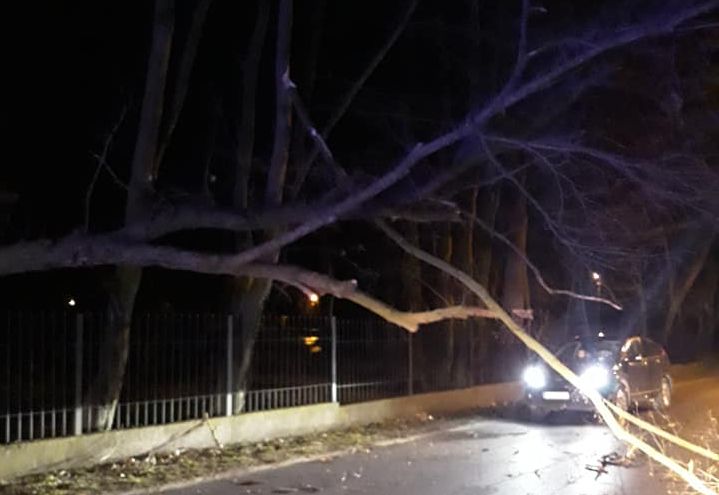 wichura wiatr połamane drzewo strażacy - OSP Czerniejewo