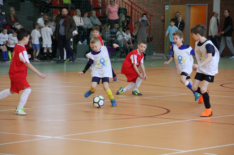 diabetic cup suchy las 2018 - www.suchylas.pl