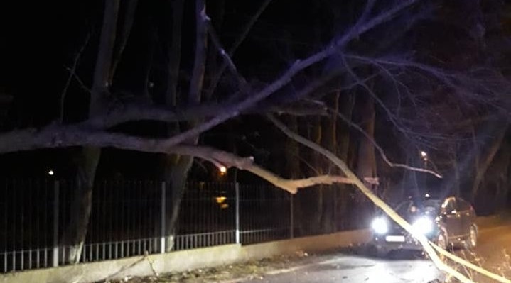 wichura wiatr połamane drzewo noc - OSP Czerniejwo