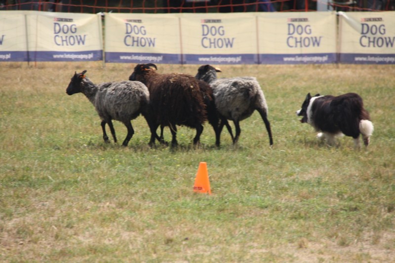 Grzegorz Maciejewski