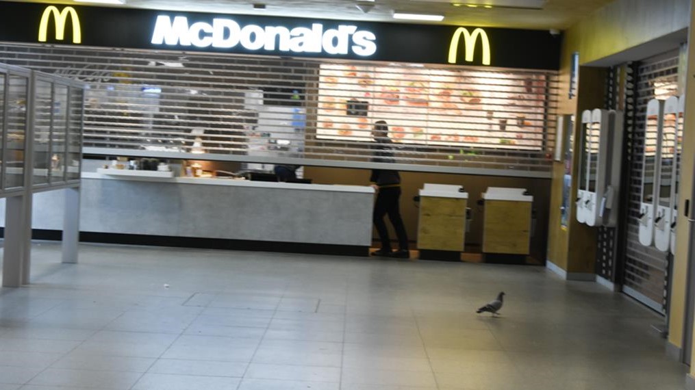 gołębie dworzec zachodni mcdonald - Wojtek Wardejn