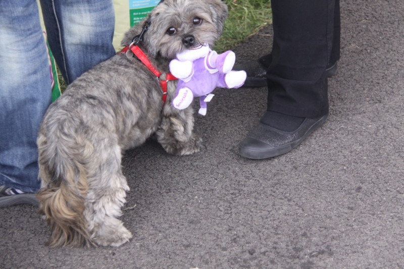 Grzegorz Maciejewski