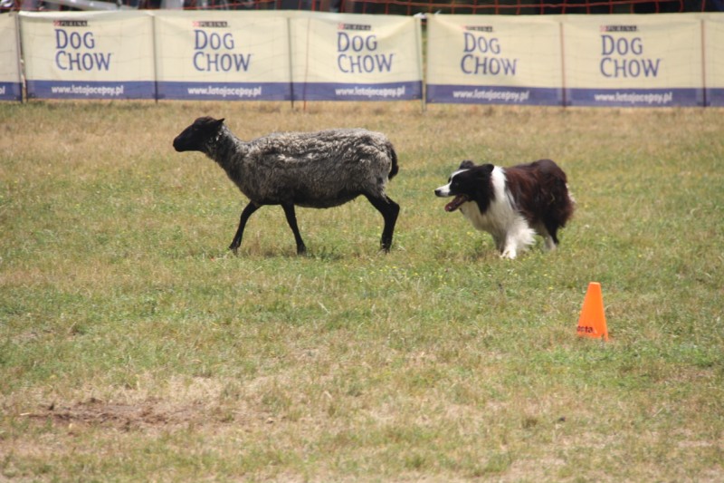 Grzegorz Maciejewski