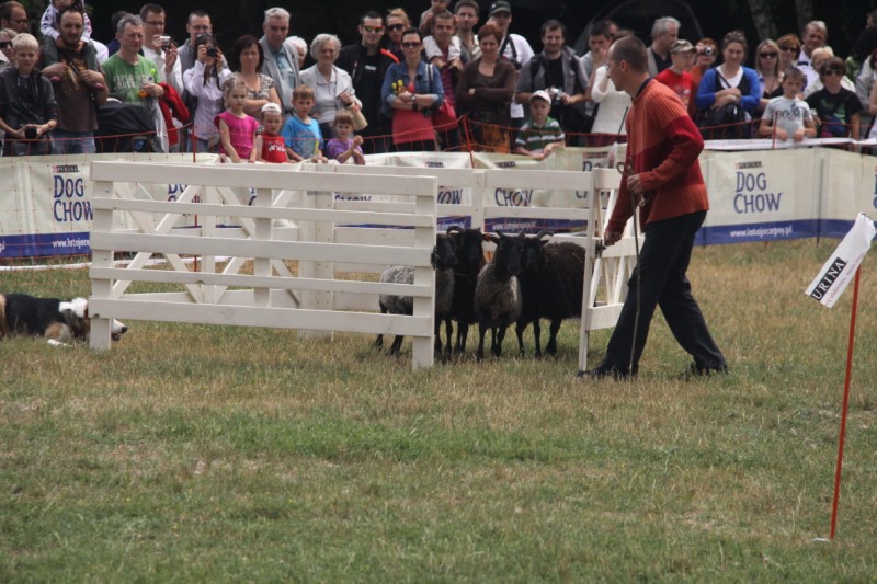 Grzegorz Maciejewski