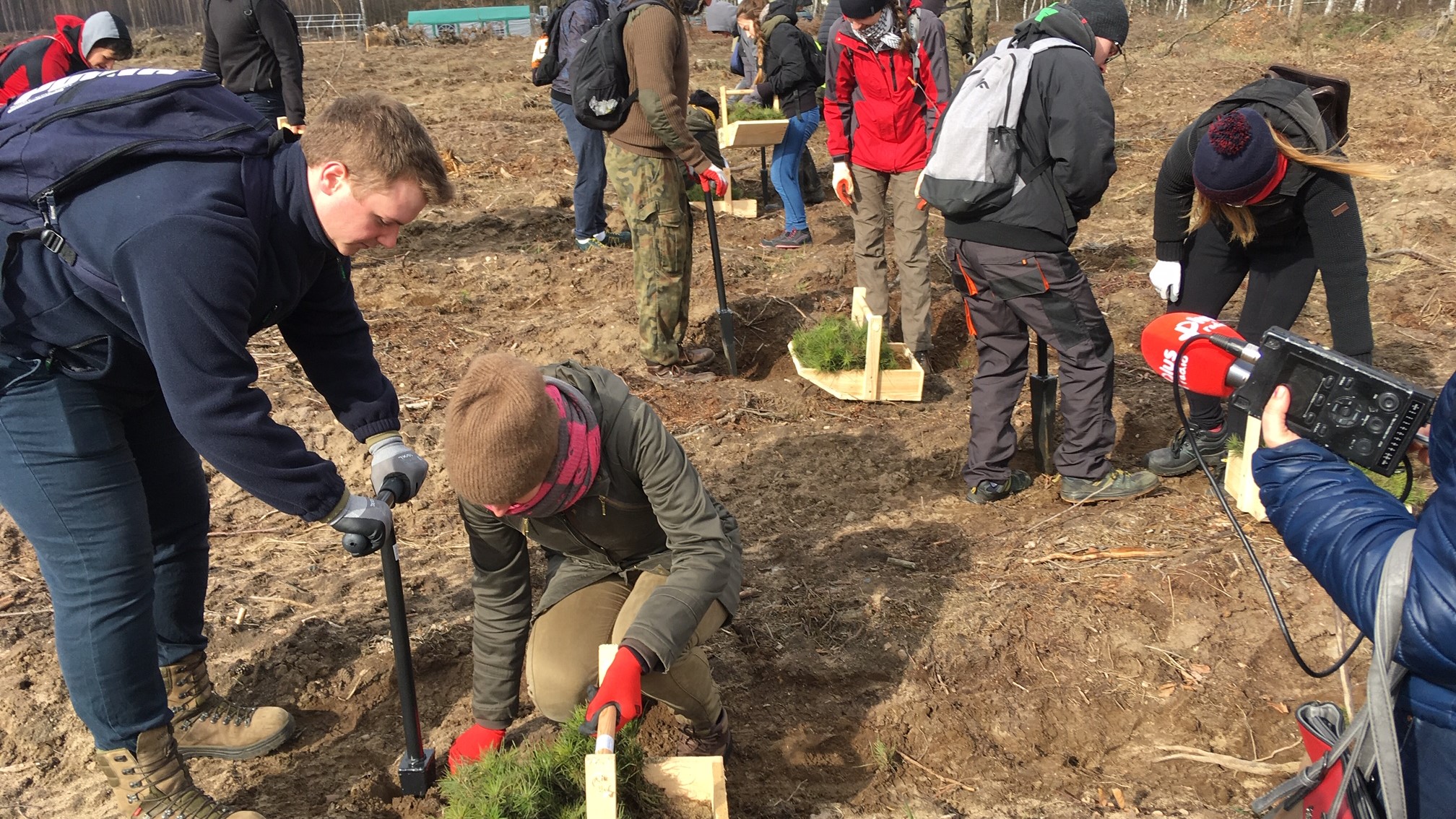 sadzenie lasu Gniezno - Rafał Muniak