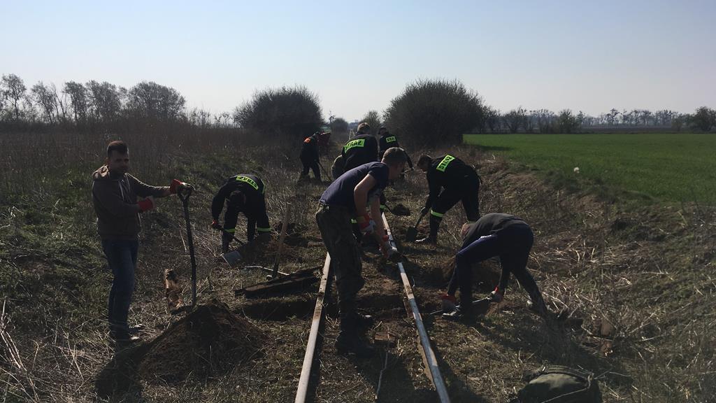 remont wąskotorówka środa wlkp - Rafał Regulski