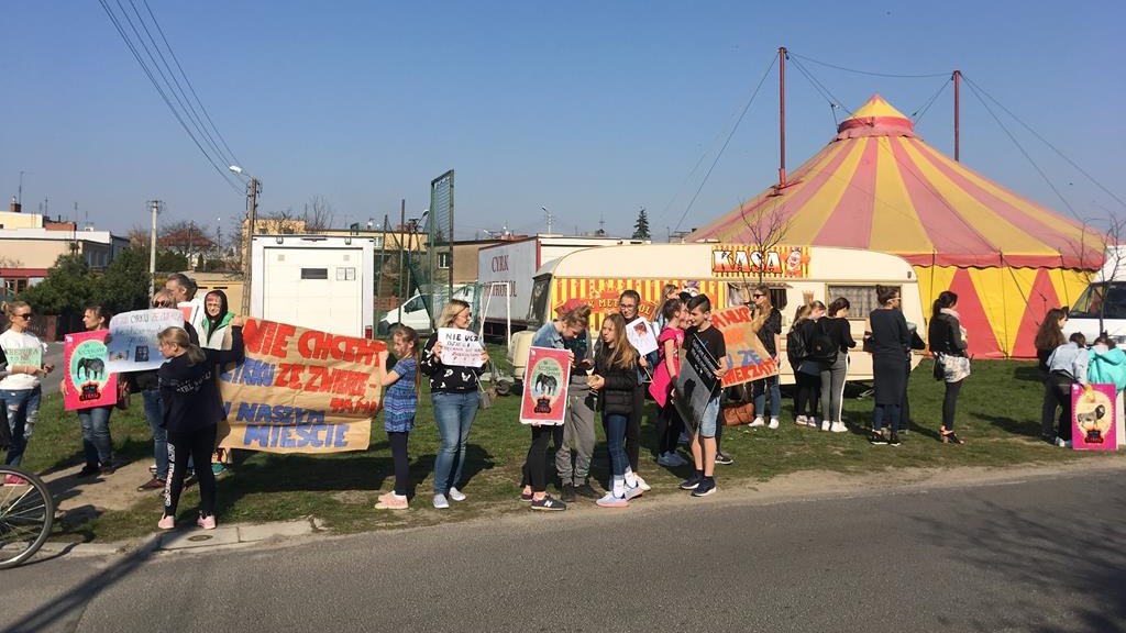 protest pod cyrkiem środa wlkp - Rafał Regulski