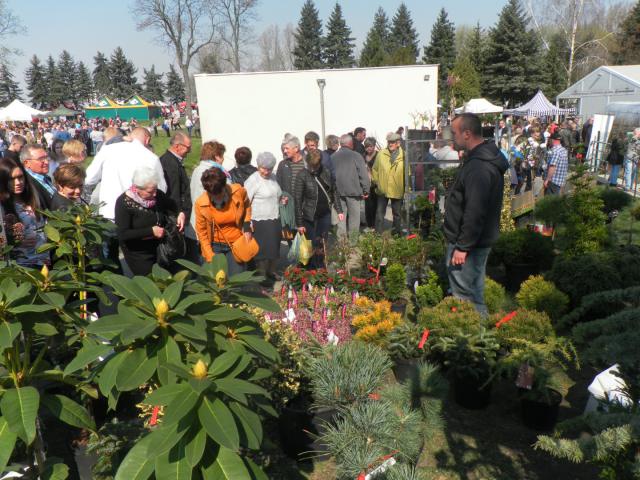 agromasz marszewo - wodr.poznan.pl