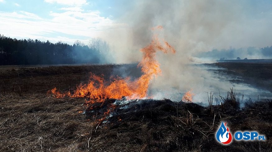 pożar trawy - osp.pl