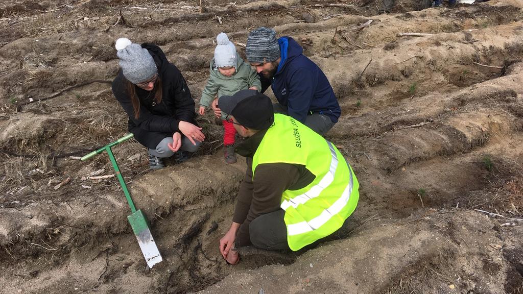 sadzą las leszno - Jacek Marciniak