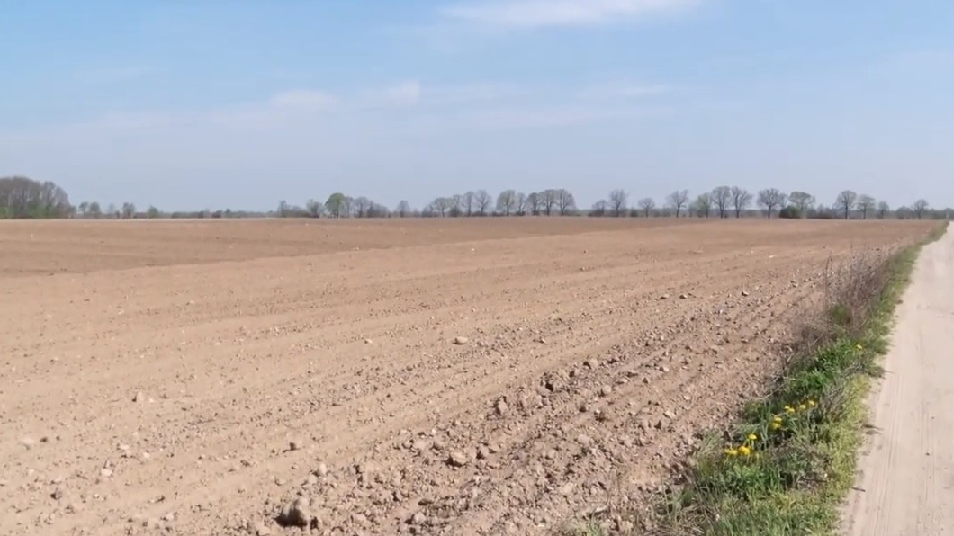 susza pola - Wojtek Wardejn