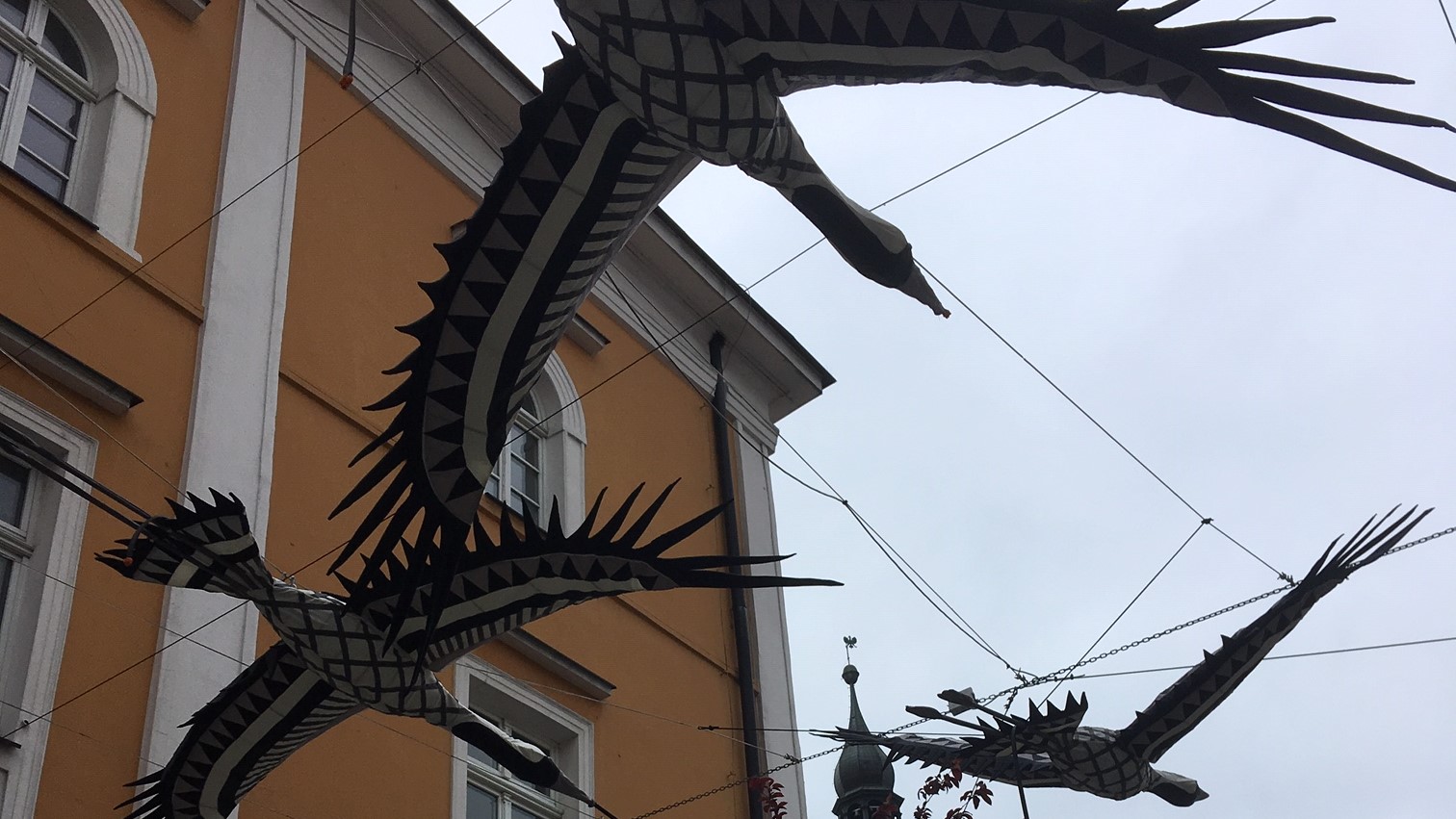 żurawie leszno - Jacek Marciniak