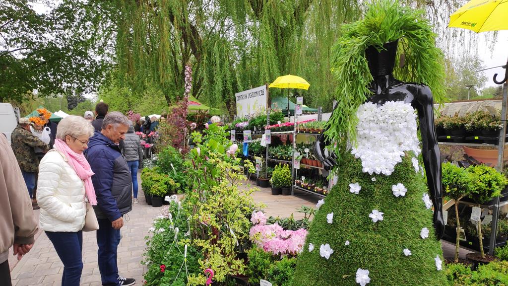 wystawa „Miasto Ogród” piła - Przemysław Stochaj