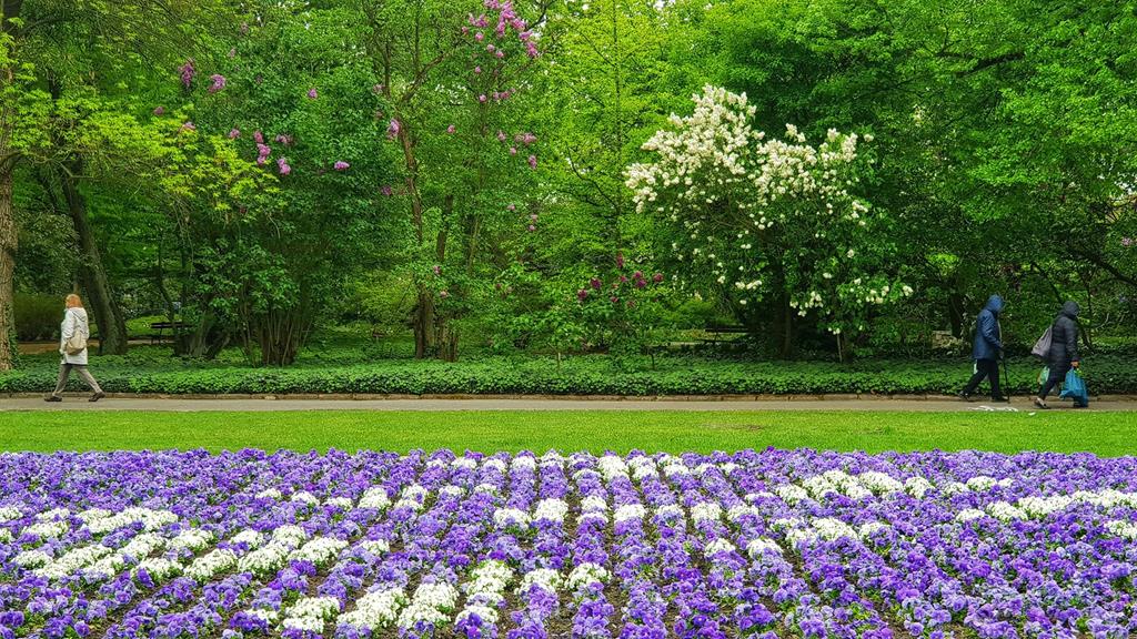 ogród botaniczny UAM - Michał Jędrkowiak