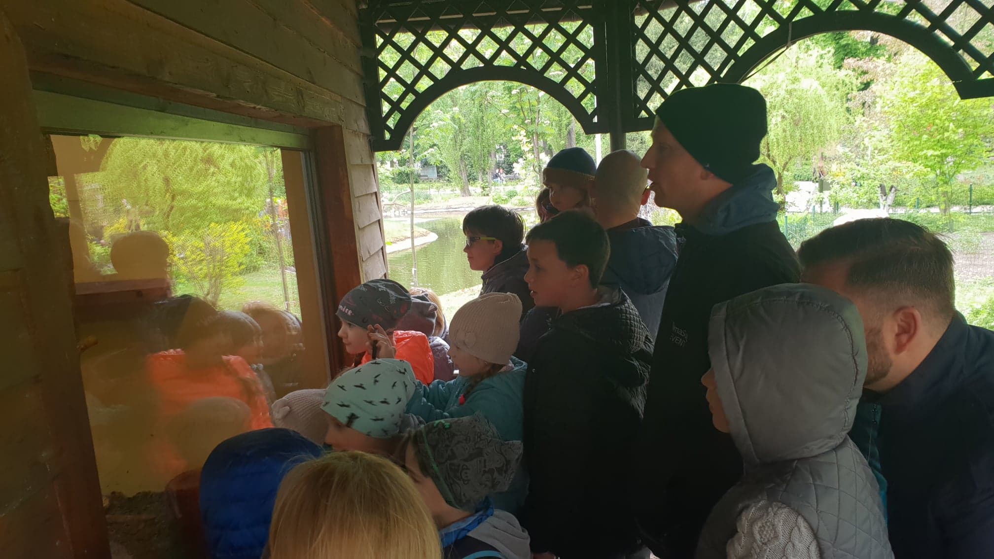 zoo ludzie karmienie pokazy - Michał Jędrkowiak