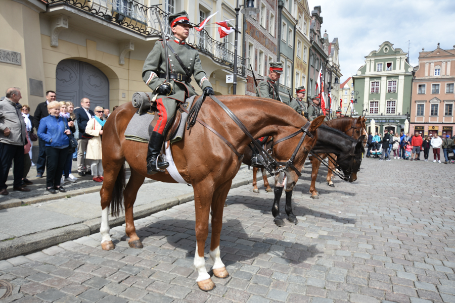 ułani stary rynek - Wojciech Wardejn