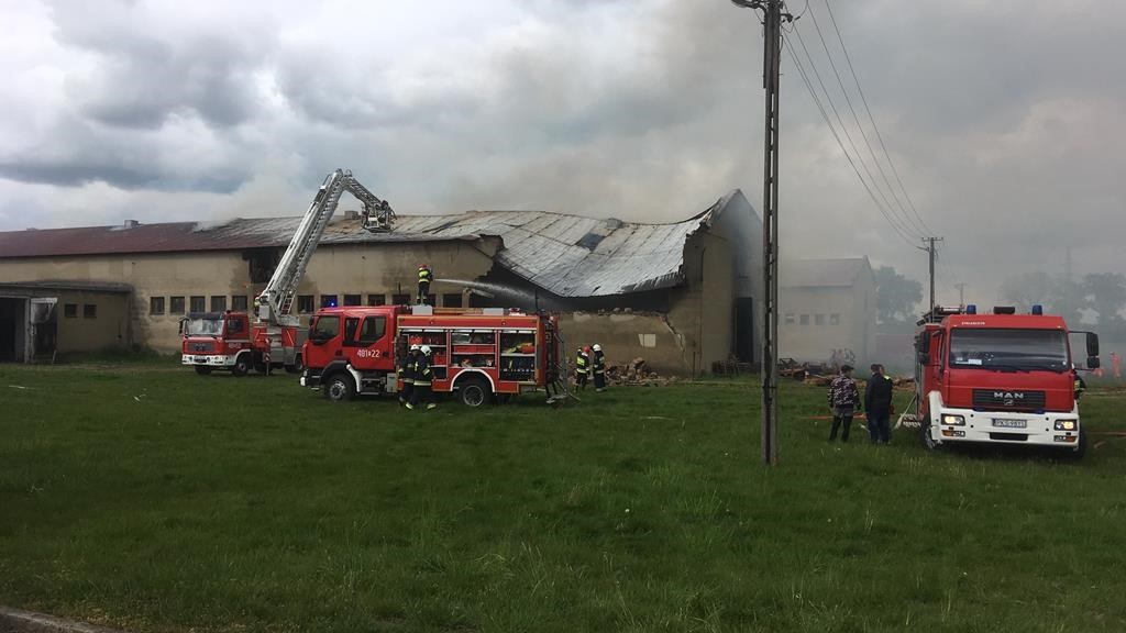 pożar owczarni pianowo - Jacek Marciniak