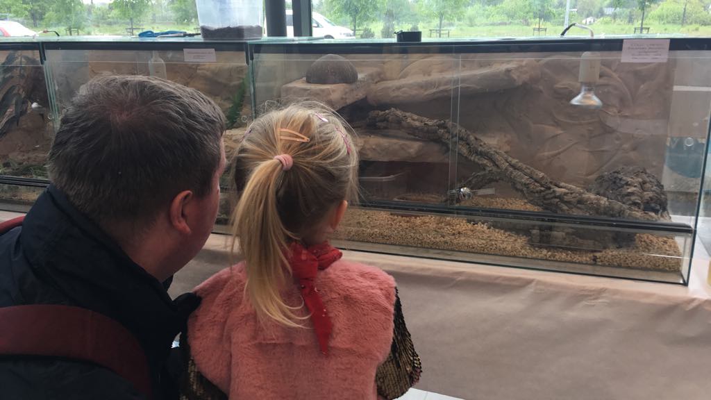 wystawa zwierząt egzotycznych - Michał Jędrkowiak