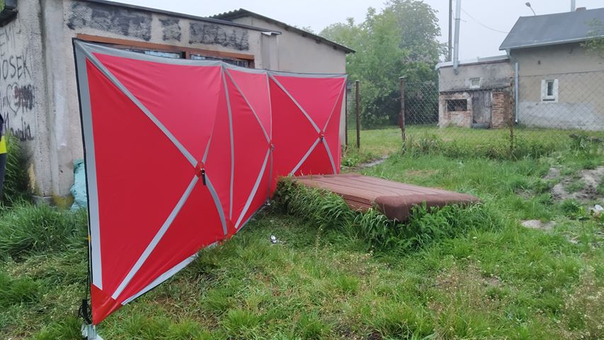 60341831_439835246834357_8599507923778928640_n - Kamil - Facebook