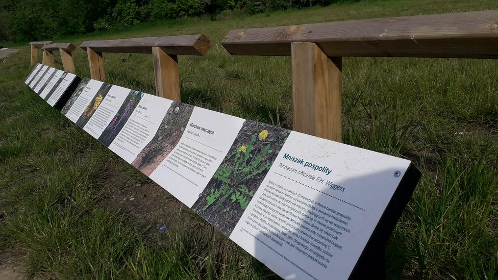 Łąki pod ochroną Poznań tabliczki -  Mateusz Malinowski/bip Poznań