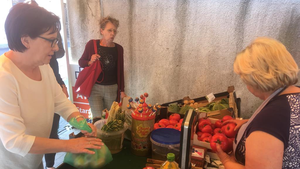 Ewa Kopacz w Srodzie Wlkp  - Rafał Regulski