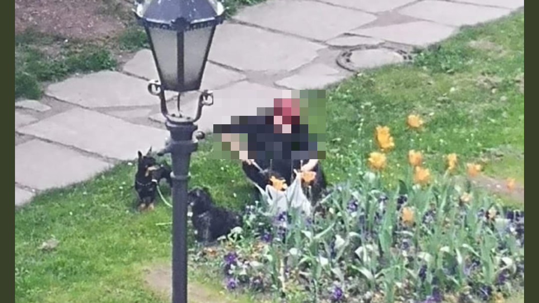 leszno sprawa kradzieży kwiatów  - FB: Łukasz Borowiak