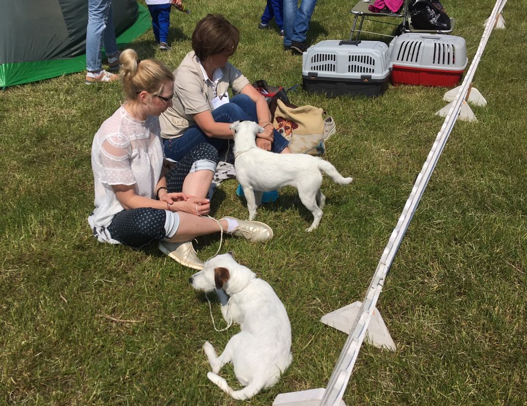 wystawa psów leszno - Jacek Marciniak