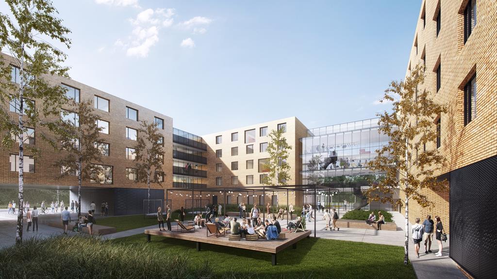 projekt akademik uam - Materiały prasowe/Dedeco