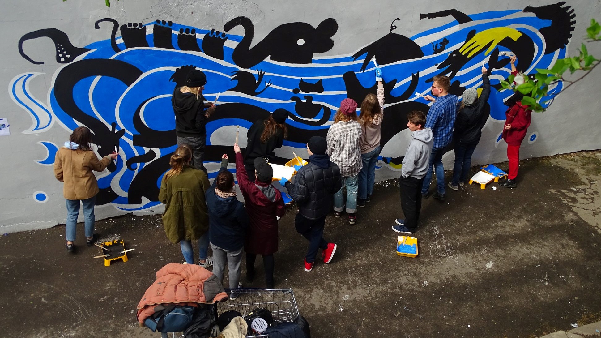 najdłuższy jamnik w Poznaniu - Mateusz Józefowski