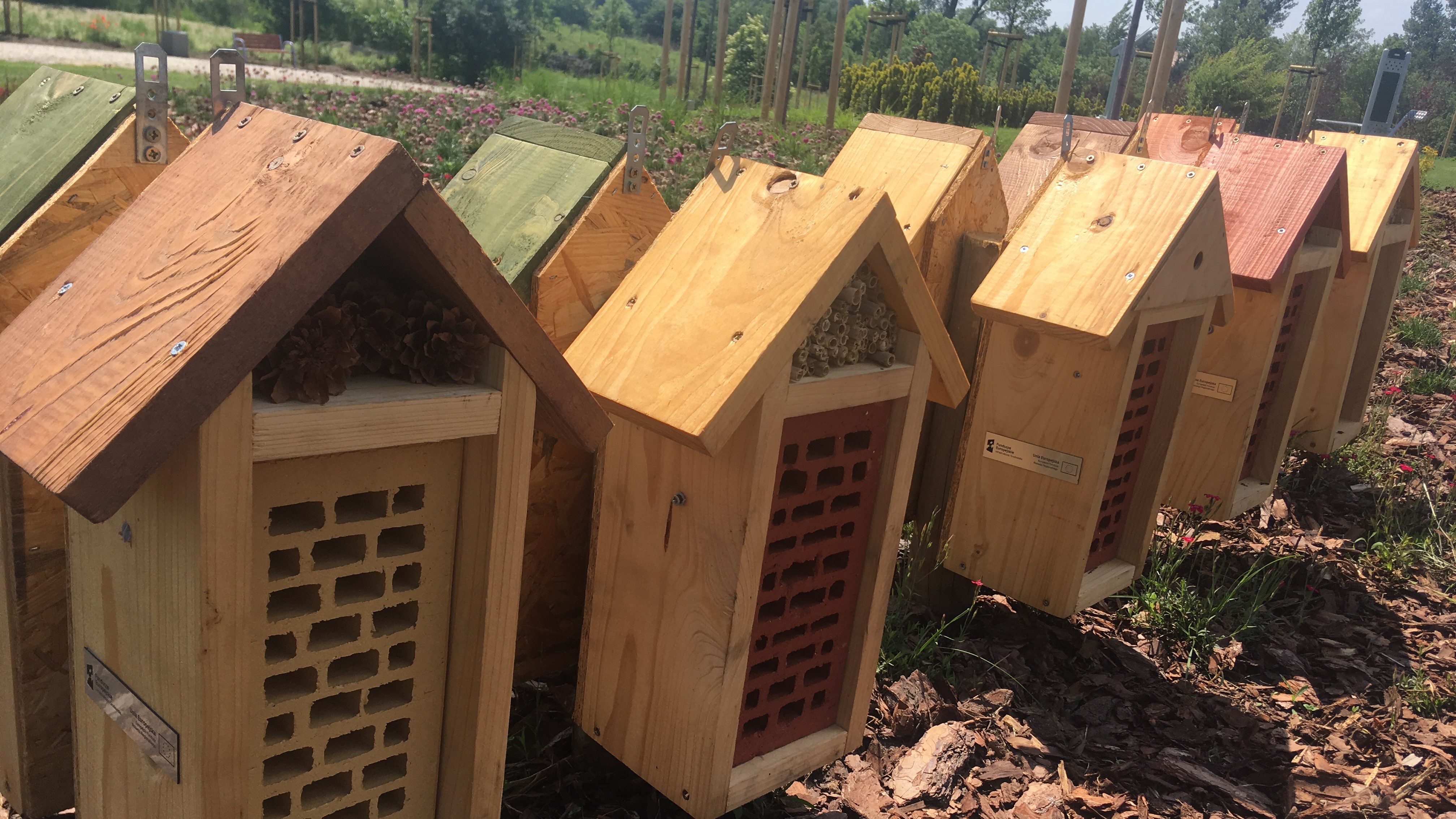 Hotele dla motyli - Rafał Regulski