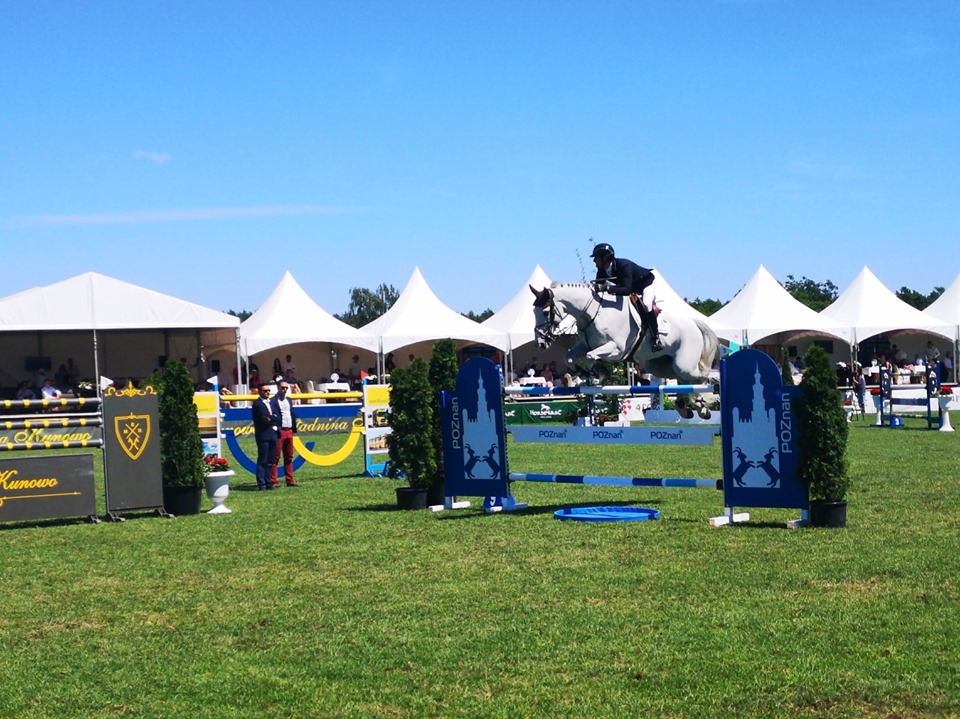 konie wola four - Dawid Cytrowski