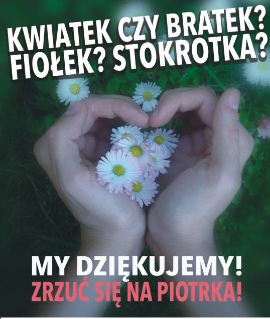 zbiórka