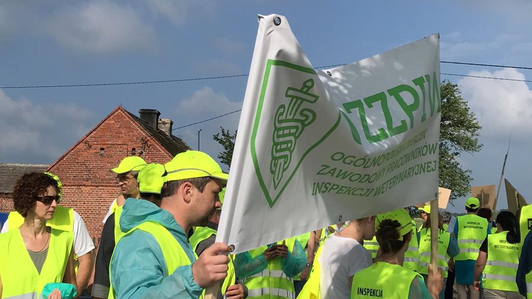protest weterynarzy  - @piwkonin.pl>