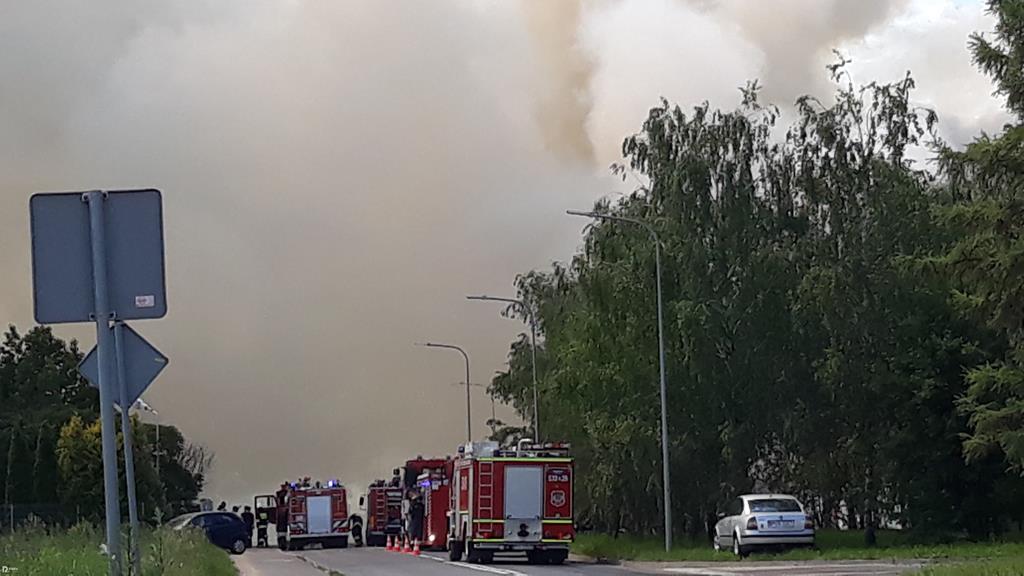 pożar wysypiska ostrów wielkopolski - Danuta Synkiewicz