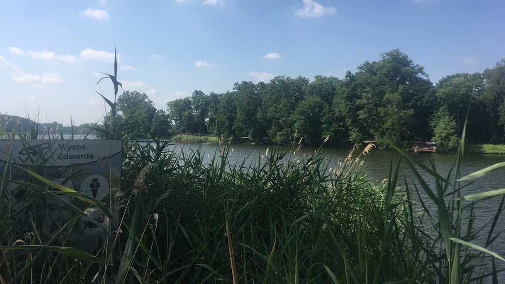 Wyspa Edwarda w Zaniemyślu  - Rafał Regulski