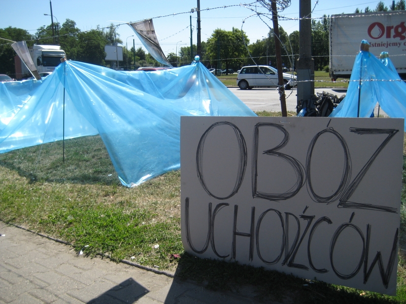 Aleksandra Włodarczyk