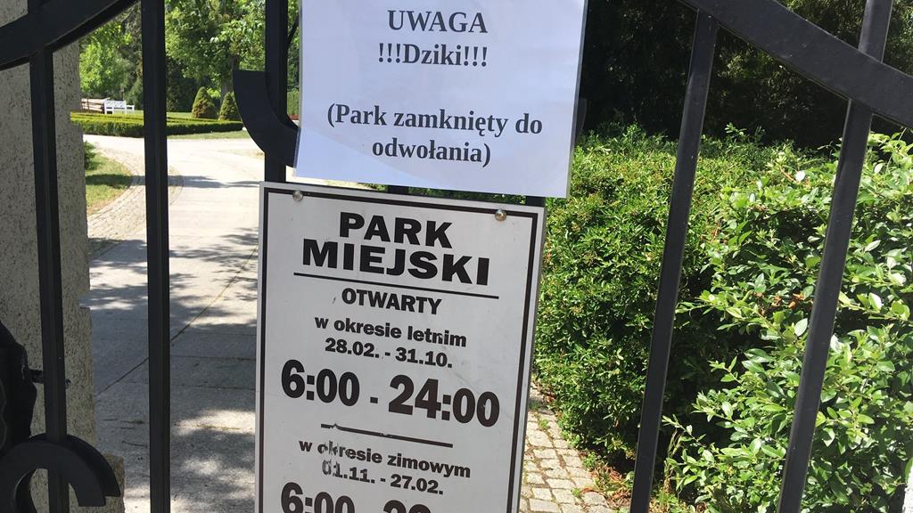 dziki park piła zamknięty