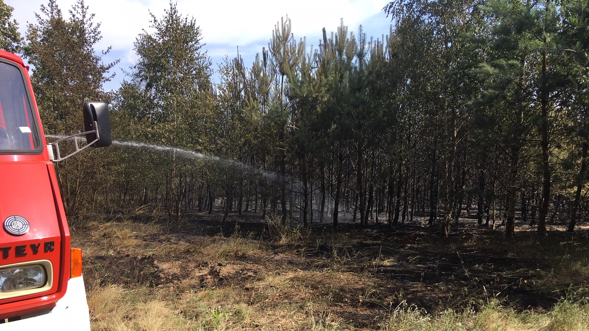 pożar lasu w rychliku - Przemysław Stochaj