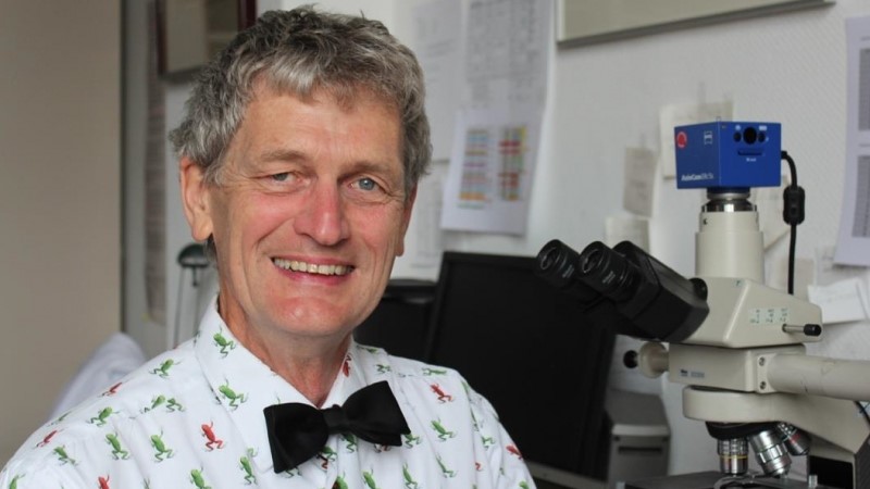 Prof. Martin Witt - www.ump.edu.pl