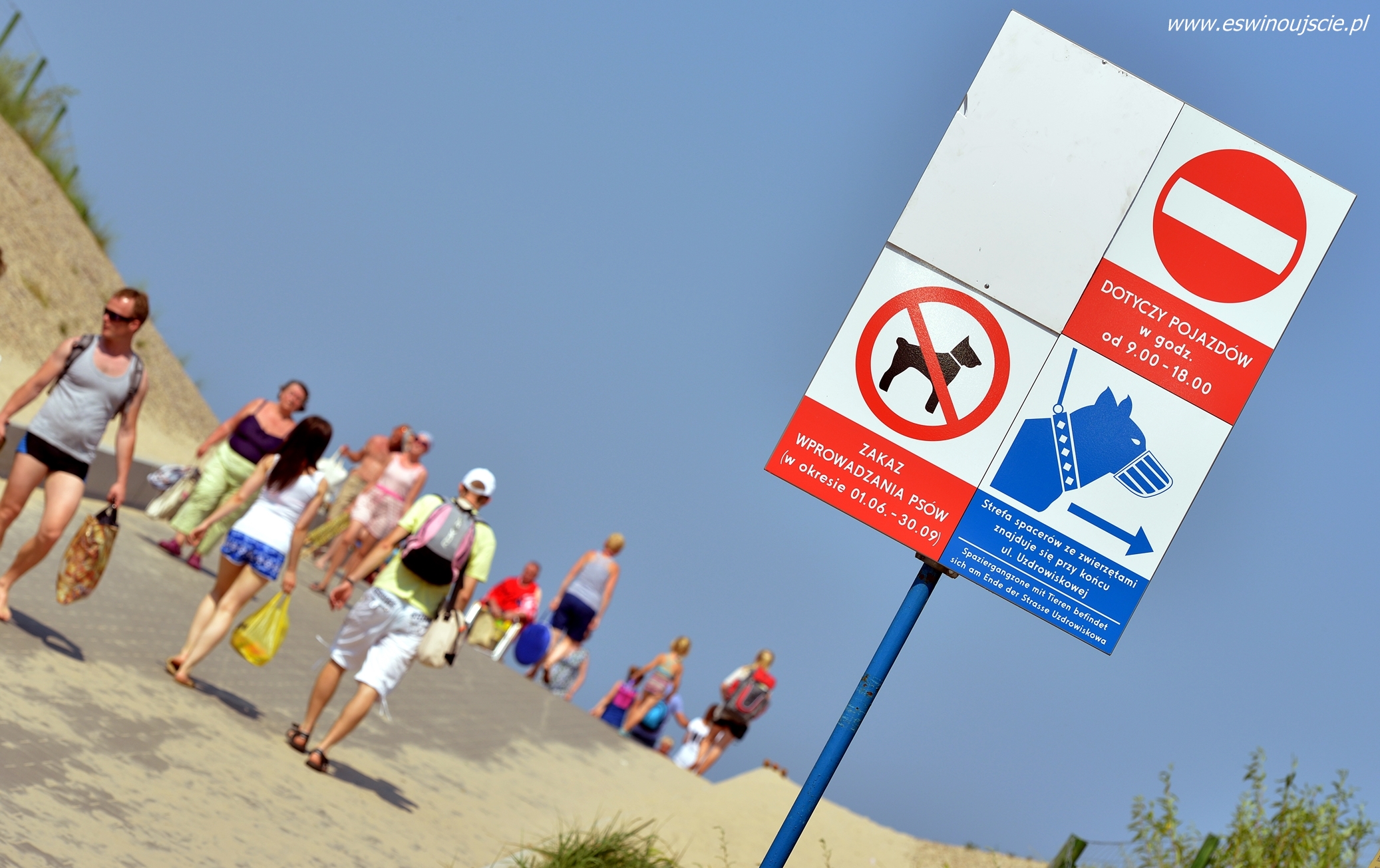 psy-plaza001 - eswinoujscie.pl