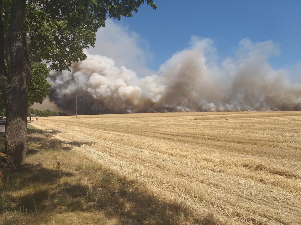 pożar konarzewo zboże2 - Marcin Gucze