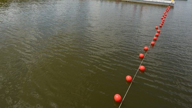 jezioro woda  - Wojtek Wardejn