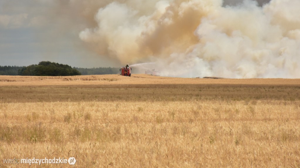 pożar zboża międzychód tuczępy  - Wieści Międzychodzkie/Marcin Handzel