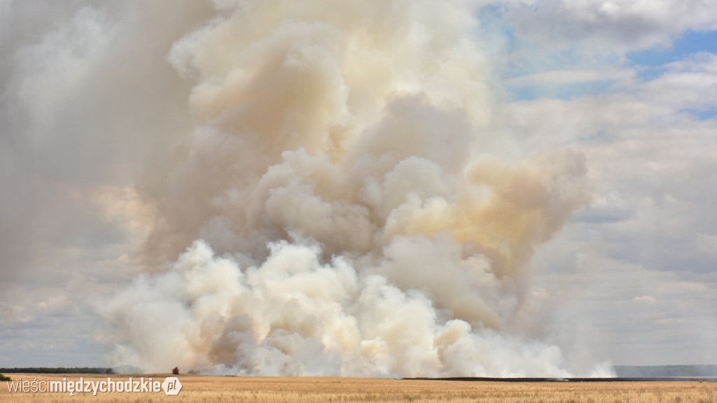 Wieści Międzychodzkie/Marcin Handzel